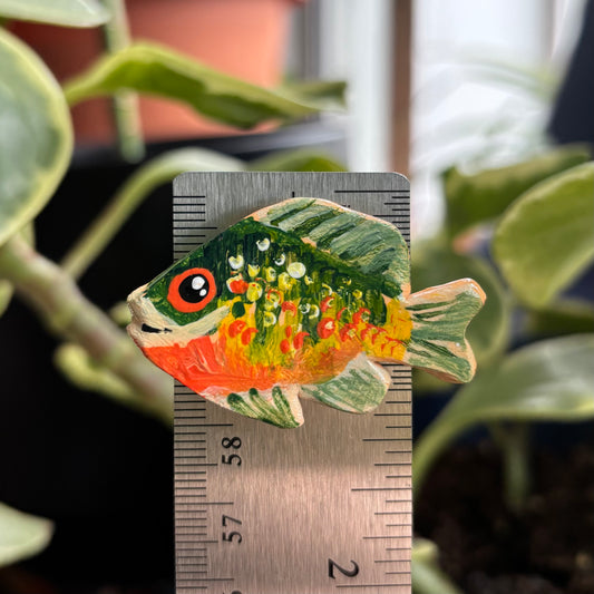 Sunfish Magnet