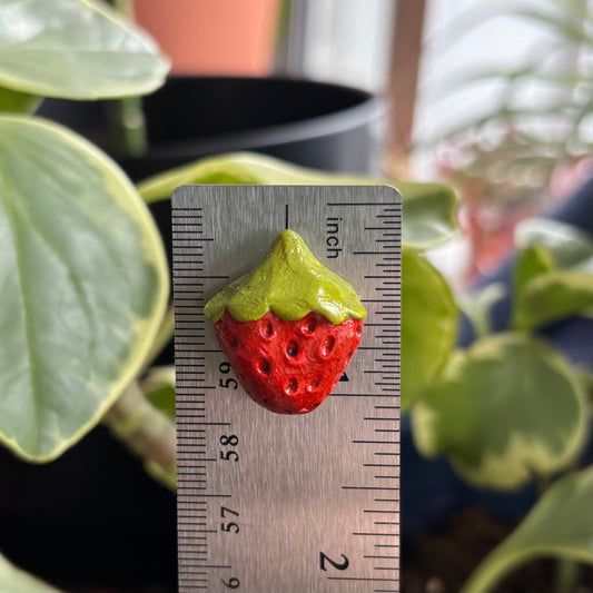 Strawberry Magnet