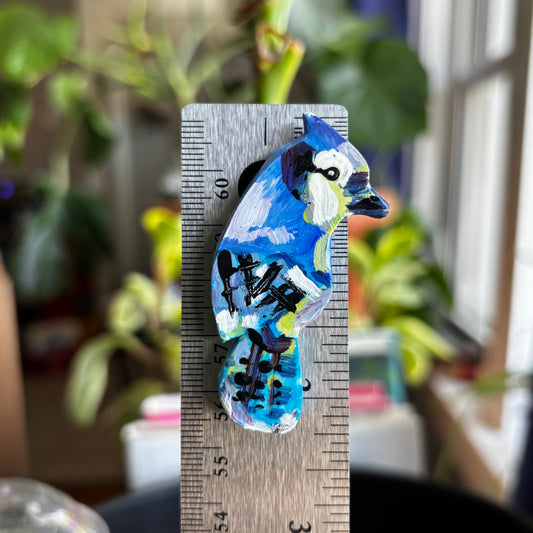 Blue Jay Magnet