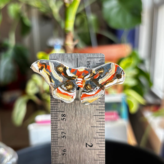 Moth Magnet