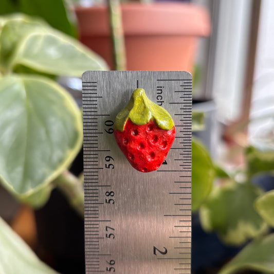 Strawberry Magnet