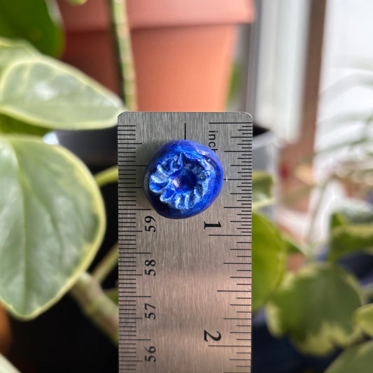 Blueberry Magnet